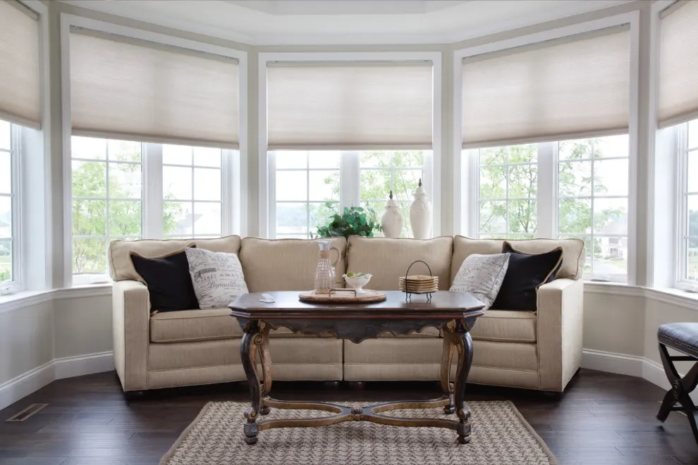 Lutron automated shades installed on existing windows